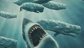 16 листопада експерти ІМІ проведуть публічну дискусію про взаємодію ГО і ЗМІ «Кити і акули»